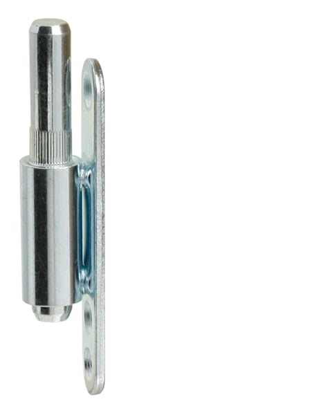 LR - 11.87.620.0 Lower hinge screw (horizontal)