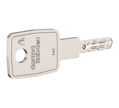 DORMAKABA DK - PENTA cross S custom dimpled key LARGE KEY - PENTA keys