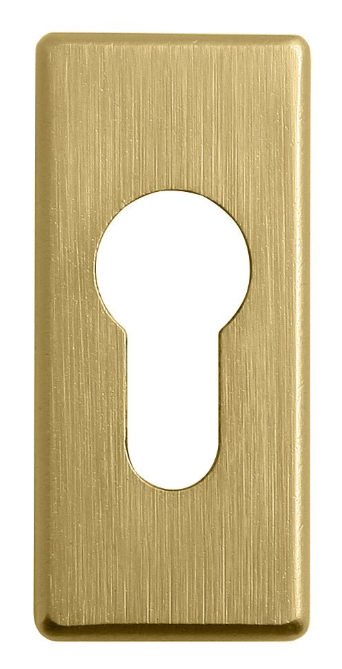 WA - ROSETTA UR - Narrow square rosettes