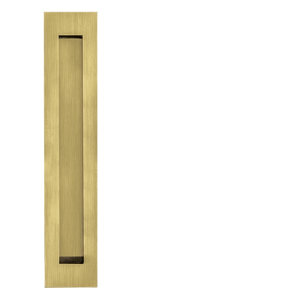 JNF - Seashells IN.16.416