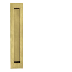 JNF - Seashells IN.16.416