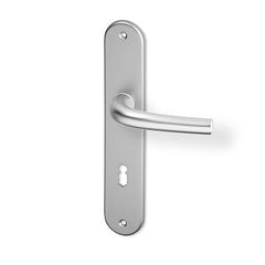 ACT Anna door  - Door Handle on a Backplate - F9 steel