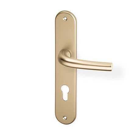 ACT Anna F4 champagne - Gable Door Handle