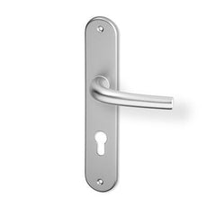 ACT Anna door  - Door Handle on a Backplate - F9 steel