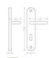Antique Door Handle on a Backplate - matt bronze/porcelain patina