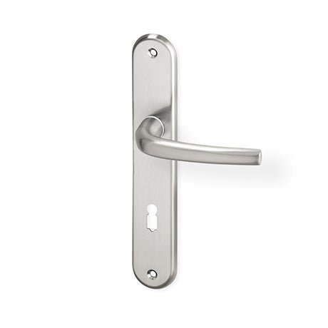 ACT Apoll - Door Handle on a Backplate - matt nickel