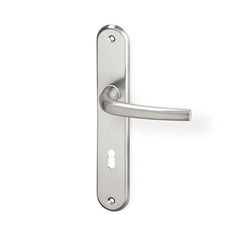 ACT Apoll - Door Handle on a Backplate - matt nickel
