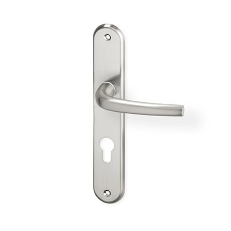 ACT Apoll - Door Handle on a Backplate - matt nickel