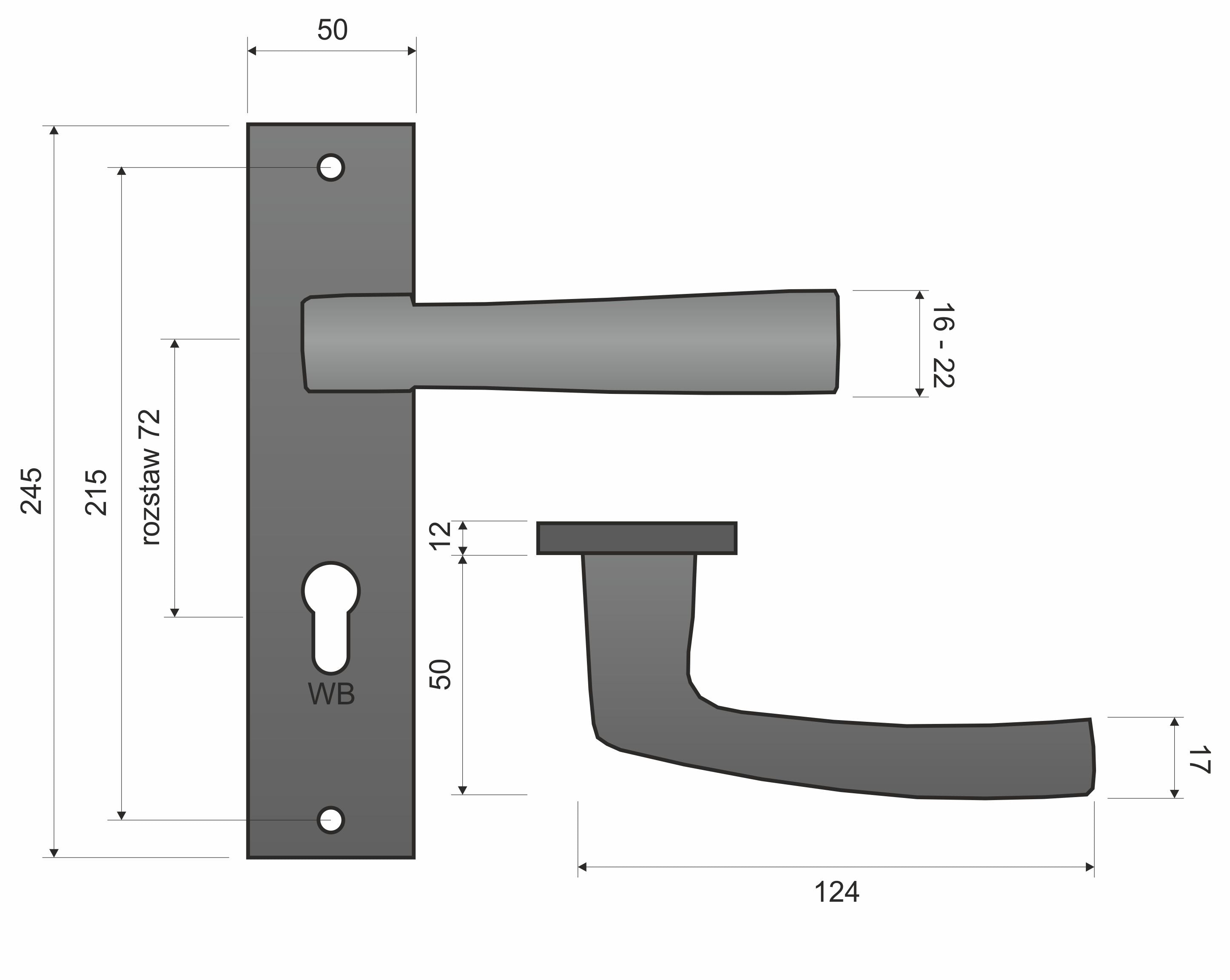 Infinity Line Cezar KCR 312 K+K Satin -External Door Handle on a Backplate