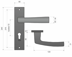 Infinity Line Cezar KCR 312 K+K Satin -External Door Handle on a Backplate