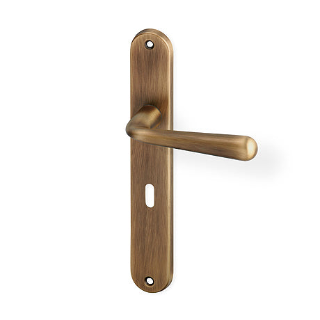 Charlie door  - Door Handle on a Backplate - bronze