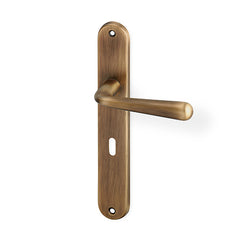 Charlie door  - Door Handle on a Backplate - bronze