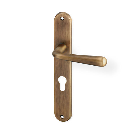 Charlie door  - Door Handle on a Backplate - bronze