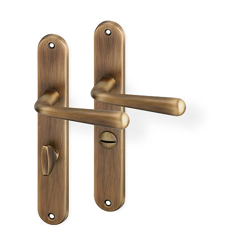 Charlie door  - Door Handle on a Backplate - bronze