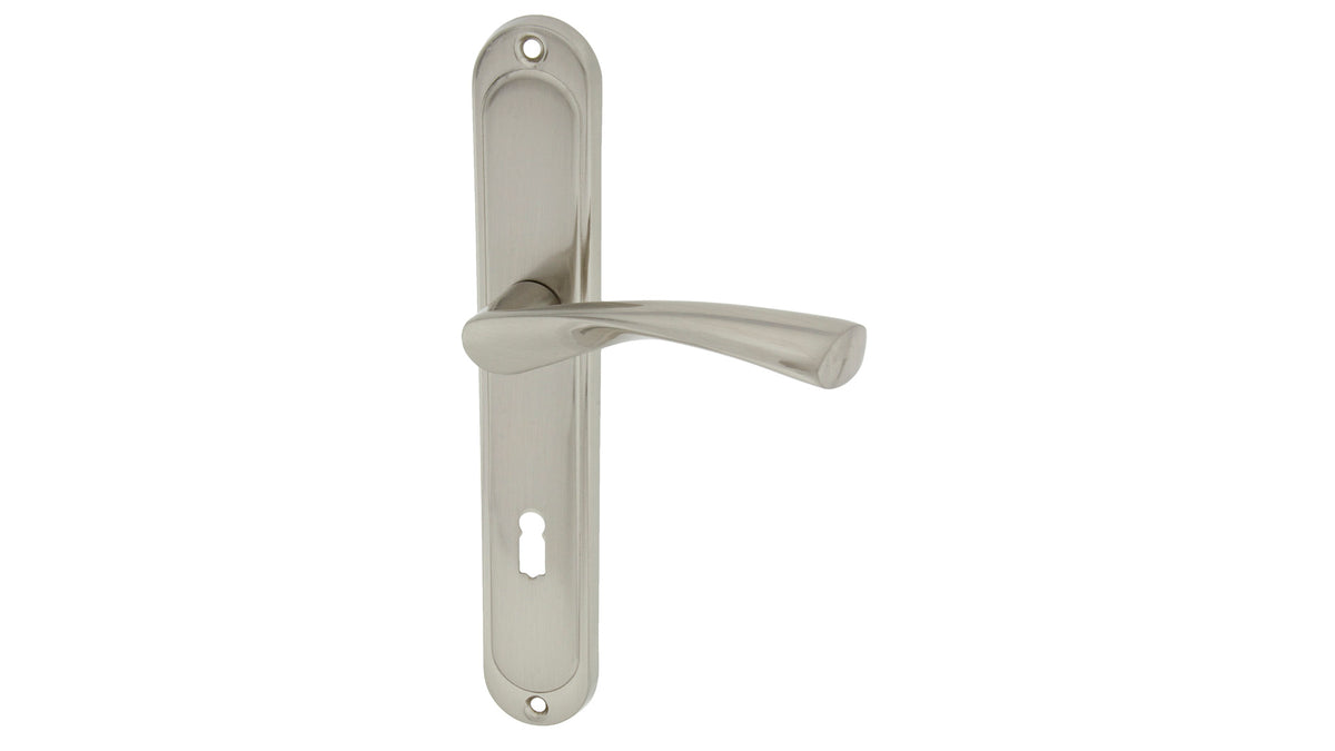 Alub Dajana nickel satin - door  - Door Handle on a Backplate