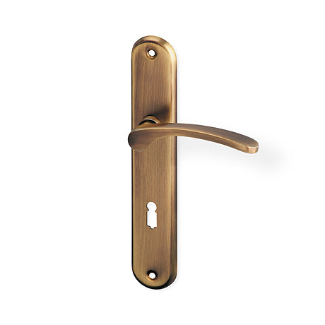 Jana door  - Door Handle on a Backplate - bronze