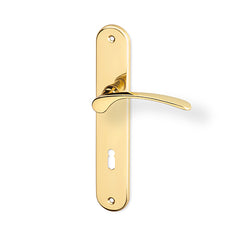 Jana door  - Door Handle on a Backplate - brass