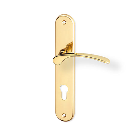 Jana door  - Door Handle on a Backplate - brass