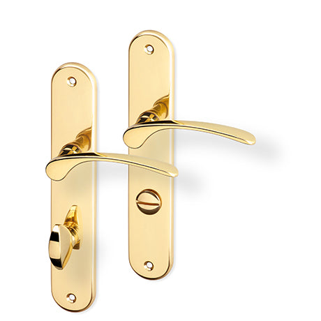 Jana door  - Door Handle on a Backplate - brass