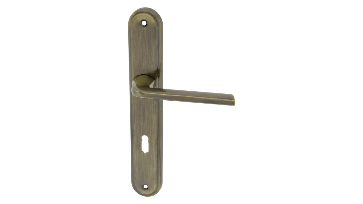 Alub Focus patina - Shield Door Handle