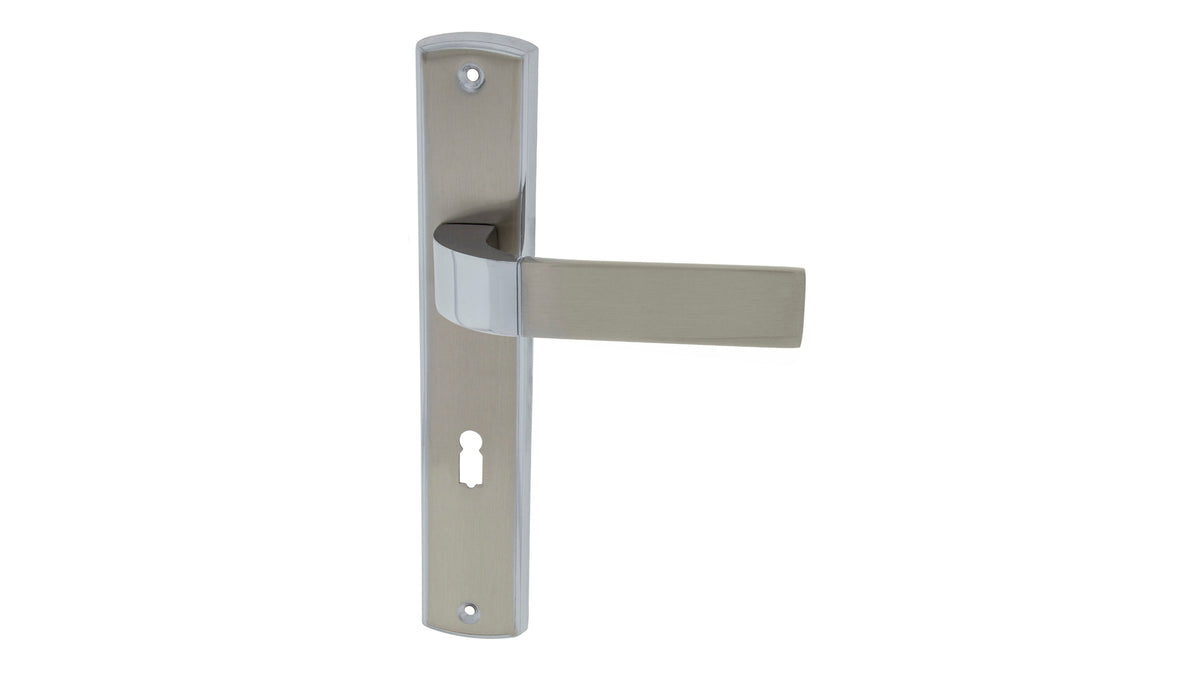 Alub Hector nickel chrome - Shield Door Handle