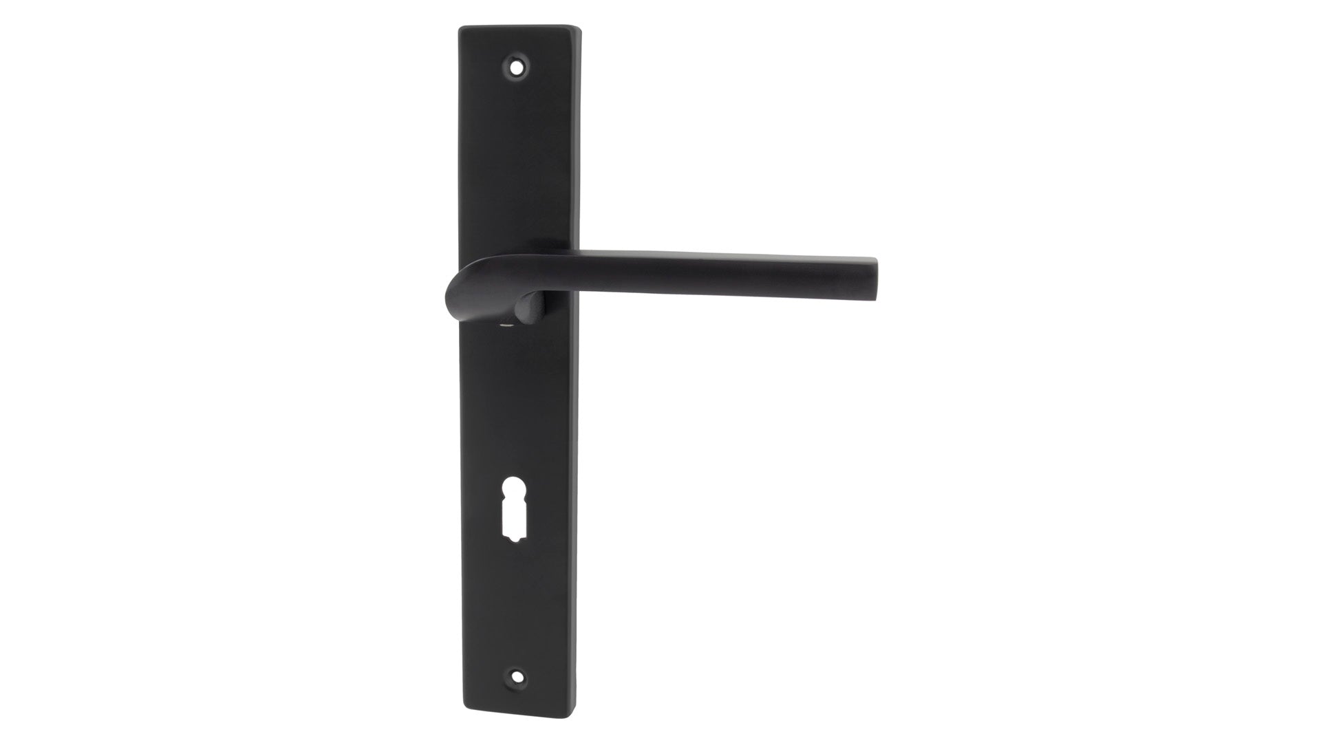 Alub Zoya Black - Door Handle on a Backplate