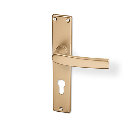 Lara door  - Door Handle on a Backplate - F4 champagne