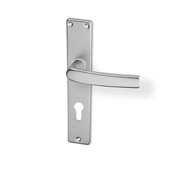 ACT Lara door  - Door Handle on a Backplate - F9 steel