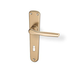 ACT Monet Door  - Door Handle on a Backplate - F4 Champagne