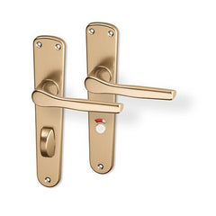ACT Monet Door  - Door Handle on a Backplate - F4 Champagne