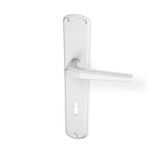 ACT Monte door  - Door Handle on a Backplate - F1 natural