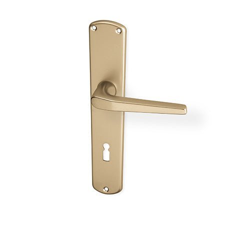 ACT Monte door  - Door Handle on a Backplate - F4 champagne