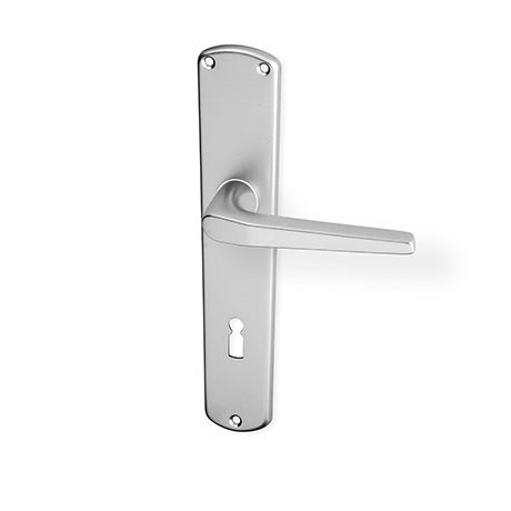ACT Monte door  - Door Handle on a Backplate - F9 steel