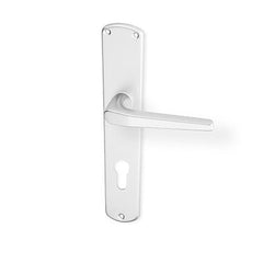ACT Monte door  - Door Handle on a Backplate - F1 natural