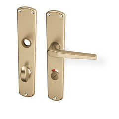 ACT Monte door  - Door Handle on a Backplate - F4 champagne