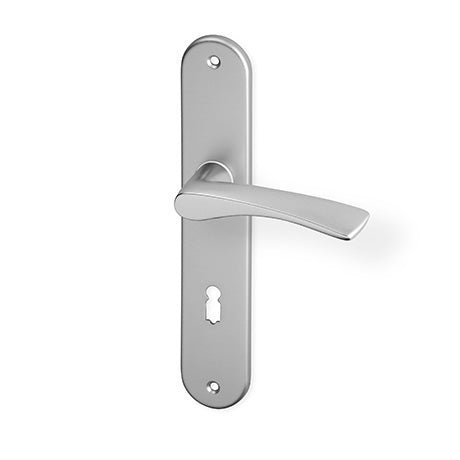 ACT Pia door  - Door Handle on a Backplate - F9 steel