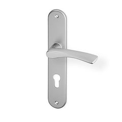 ACT Pia door  - Door Handle on a Backplate - F9 steel