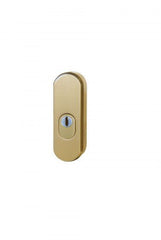Richter Czech Safety rosette R.103.ZA with overlay F4 - bronze anodized