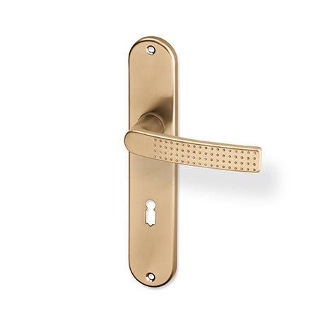 Rosa door  - Door Handle on a Backplate - F4 champagne