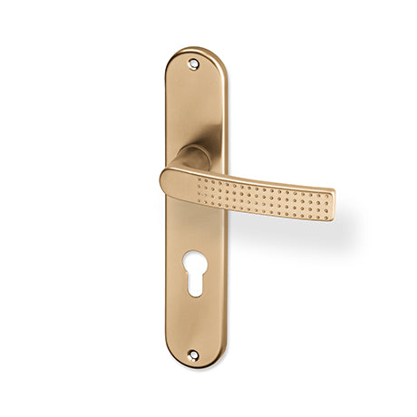 Rosa door  - Door Handle on a Backplate - F4 champagne