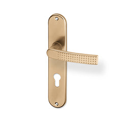 Rosa door  - Door Handle on a Backplate - F4 champagne