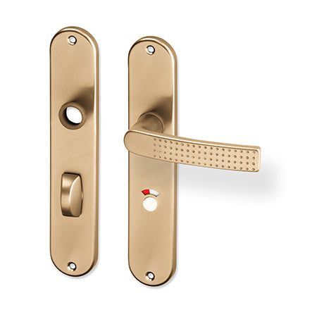 Rosa door  - Door Handle on a Backplate - F4 champagne
