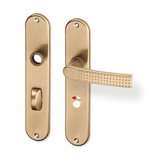 Rosa door  - Door Handle on a Backplate - F4 champagne