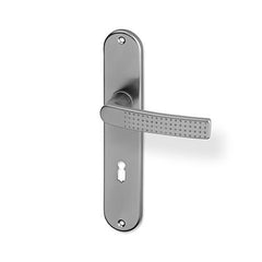ACT Rosa door  - Door Handle on a Backplate - F9 steel