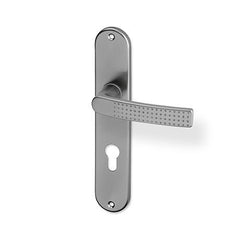 ACT Rosa door  - Door Handle on a Backplate - F9 steel