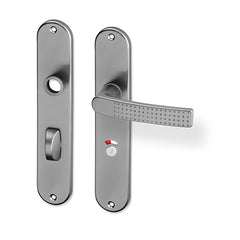 ACT Rosa door  - Door Handle on a Backplate - F9 steel