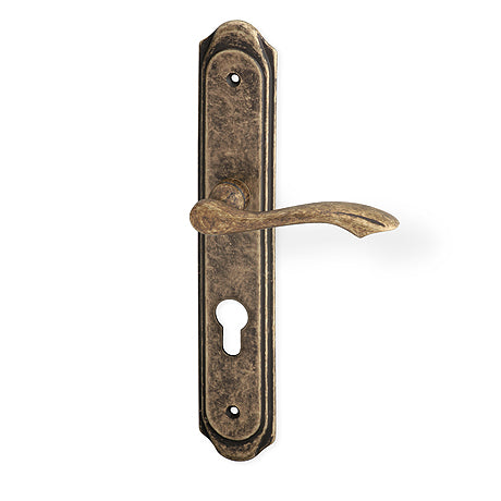 Rustic Door Handle on a Backplate - matte bronze patina