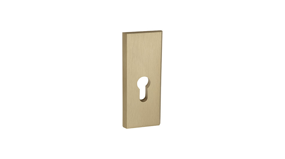 NEO Patina K+G -External Door Handle on a Backplate