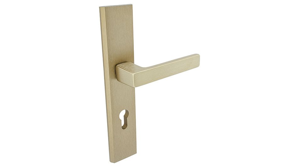 Alub THEO Patina K+K -External Door Handle on a Backplate