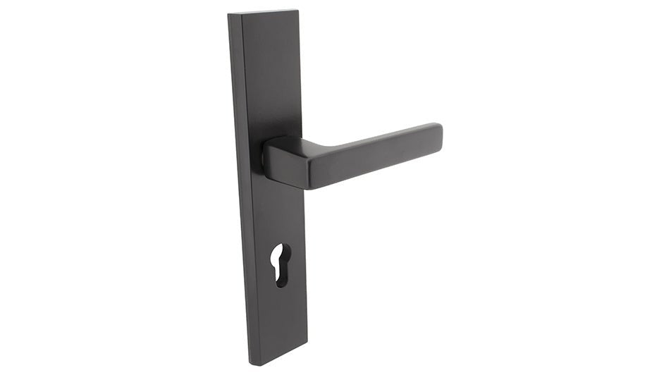 Alub THEO Black K+K -External Door Handle on a Backplate